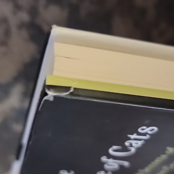 The inner life of cats - Picture 4 of 4